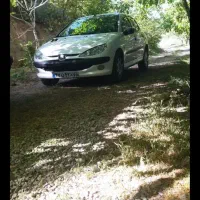 206 تیپ ۲|خودرو سواری و وانت|هشتگرد, هیو|دیوار