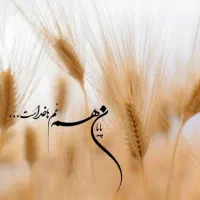 نظافت منزل همه کاره