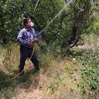 سم پاشی شخم زنی علف زنی وچاله کنی وچاله ستون فنس|خدمات باغبانی و درختکاری|مشکیندشت, |دیوار