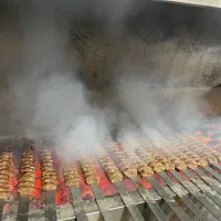 راه اندازی باربیکیو و رستوران