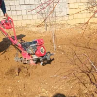 شخم زنی باغات و درختان میوه با کلتیواتور