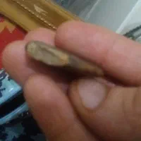 ششهاب سنگ واقعی