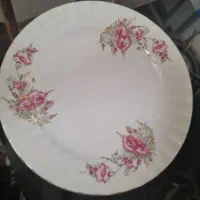 بشقاب چینی غذا خوری|ظروف سرو و پذیرایی|بروجرد, |دیوار