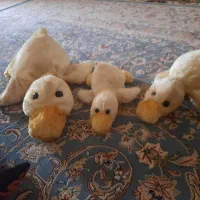 عروسک|اسباب‌بازی بچه|ری, عباس‌آباد|دیوار