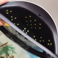 وسیله های ناخن|آرایشگاه و سالنهای زیبایی|پاکدشت, پاکدشت (مامازند)|دیوار