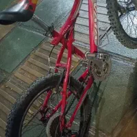 دوچرخه حرفهای تمام آلمینیوم ویوا|دوچرخه، اسکیت، اسکوتر|الوند, |دیوار