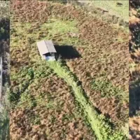 فروش یک قطعه زمین کشاورزی|فروش زمین و ملک کلنگی|خلیل شهر, |دیوار