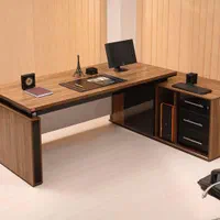 حسابدار خانم مسلط به سپیدار