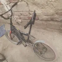 دوتا دوچرخه ۱۶ فروشی