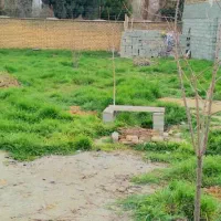 باغ سند دار ۶۳۰ متری کوچه پزشکان