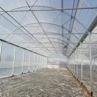 ساخت انواع سازه گلخانه(صفرتاصد،نقد و اقساط)|عمدهفروشی|شهرکرد, |دیوار