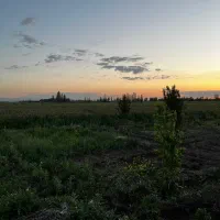 زمین-با-5-ساعت-آب-موتور