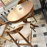 صندلی کامل رستورانی پلاستیکی برندمهماندوست اپن چوب|میز و صندلی غذاخوری|مشهد, عامل|دیوار