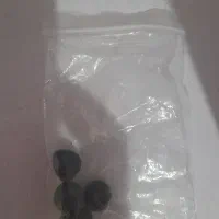 ایرپاد|لوازم جانبی موبایل و تبلت|کرج, حصارک بالا|دیوار