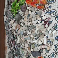 تزئینات داخل آکواریوم|ماهی|بیجار, |دیوار