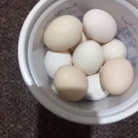 تخم مرغ تازه