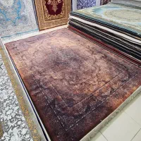 فرش ماشینی دیبا ، کلکسیونC5776 سری|فرش|آستارا, |دیوار