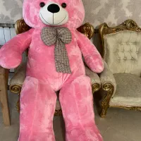 عروسک خرسی پلیشی