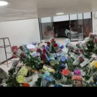 انبار مرکزی گل رز هلندی عمده