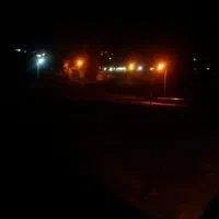 سگ کوچولو گمشده