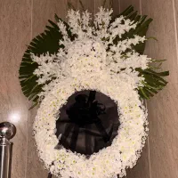 تاج گل زیبا