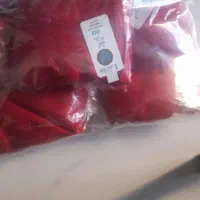 لباس زیر زنانه در رنگهای مختلف و سایزهای مختلف