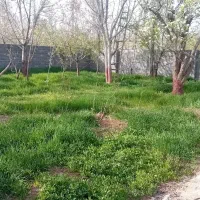 300-متر-باغ-سند-تک-برگ-آبسرد-وادان-بوستان