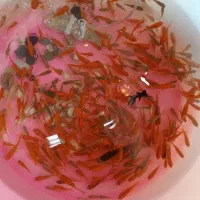 300عدد ماهی مخلوط سه دم و  پنج دم