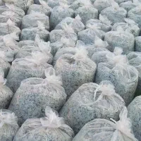 تفاله چغندر