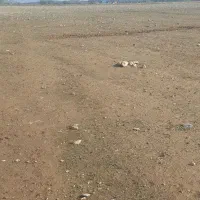 زمین|فروش زمین و ملک کلنگی|چگنی, |دیوار