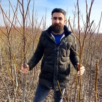 نهالستان تخصصی اکو نهال