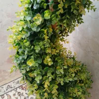 درخت چه|گل مصنوعی|اندیشه, اندیشه فاز ۳|دیوار