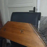 سنتور دو گل|سازهای سنتی|تهران, بهار|دیوار