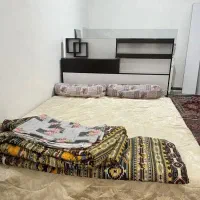 دارای حیاط ماشین رو