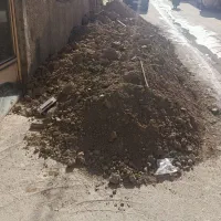 خاک رایگان