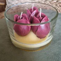 شمع بابونه،لاله،لیمو،توت فرنگی