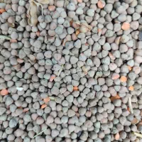 خوراک دام و کنسانتره و سبوس و ...|عمده‌فروشی|مهربان, |دیوار