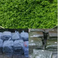 سبزی خوزستان قرمه