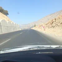گمشده حیوان