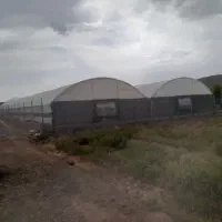 فروش گلخانه ۱۱۰۰ متری|فروش دفتر صنعتی، کشاورزی، تجاری|قم, پردیسان|دیوار