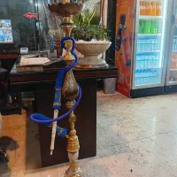 سری زن