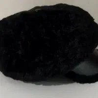 کلاه زنونه|لباس|مشهد, کارمندان دوم|دیوار