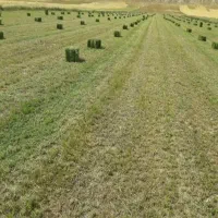 یونجه پرس ۳/۵تن