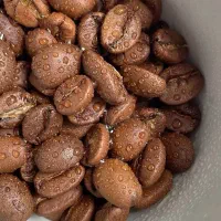 انواع دان قهوه|عمده‌فروشی|میانه, |دیوار