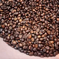 پخش عمده قهوه