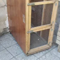 فروش قفس