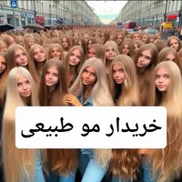 مو بلندطبیعی