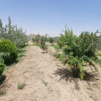 چهار دیواری واقع در روستای کاج|فروش زمین و ملک کلنگی|اصفهان, سرشبادران|دیوار