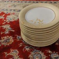 ۱۲ عدد پلوخوری