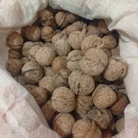 فروش گردو وبادام